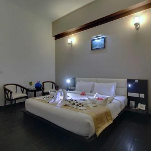 Country View Room